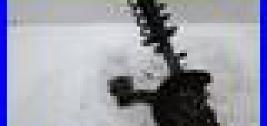 FORD-FOCUS-FRONT-RIGHT-SUSPENSION-2-3L-Petrol-11-19-01-pwbd